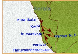 kerala travel packages