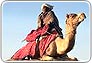 rajasthan tour