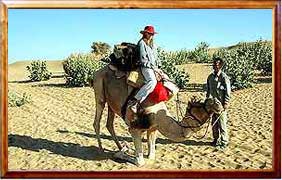 rajasthan tour